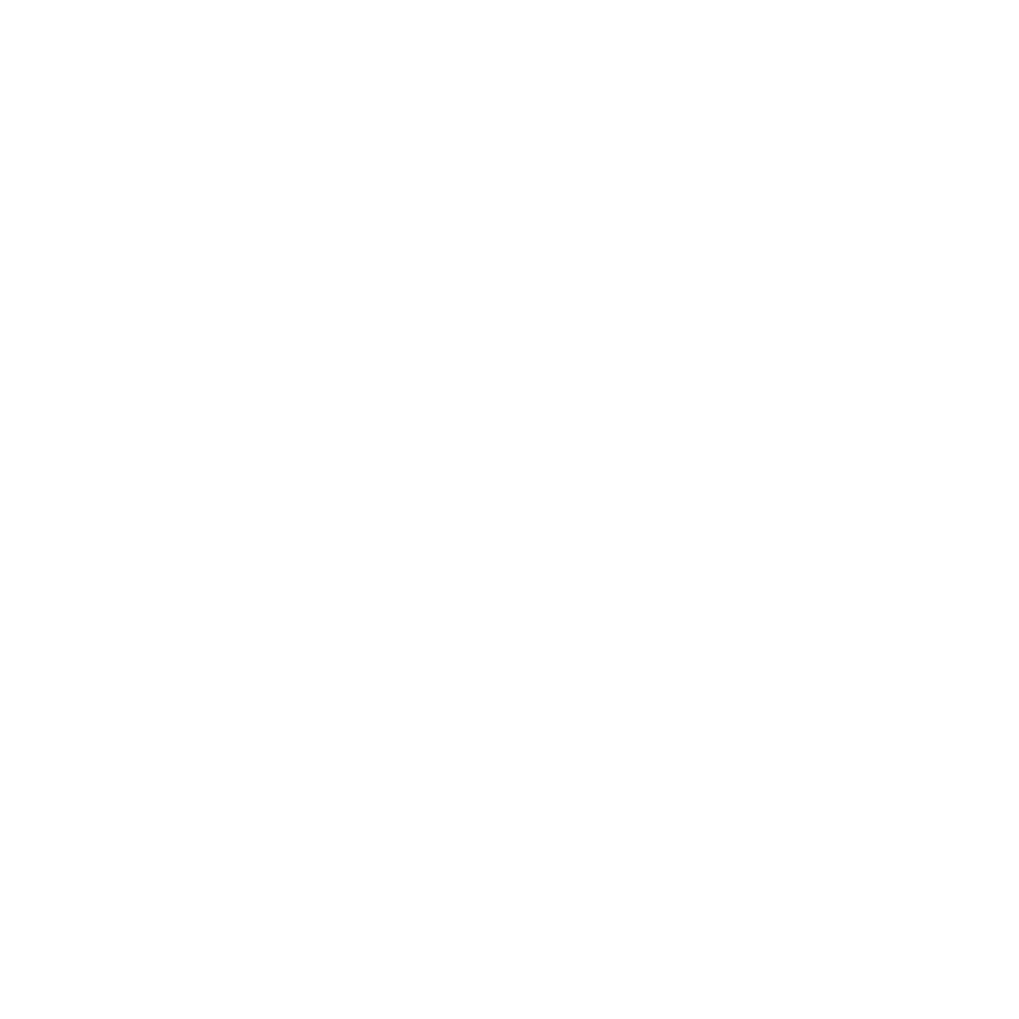 Phone Icon